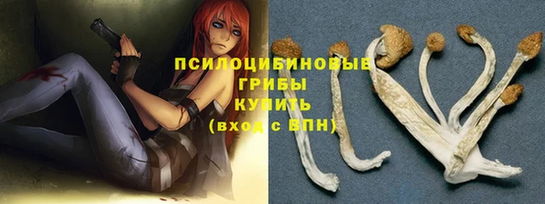 ПСИЛОЦИБИНОВЫЕ ГРИБЫ Белокуриха