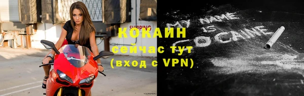 ПСИЛОЦИБИНОВЫЕ ГРИБЫ Белокуриха
