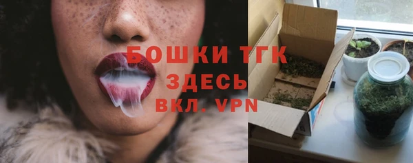 ПСИЛОЦИБИНОВЫЕ ГРИБЫ Белокуриха