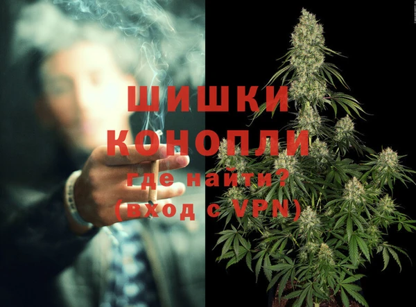 ПСИЛОЦИБИНОВЫЕ ГРИБЫ Белокуриха