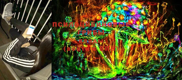 ПСИЛОЦИБИНОВЫЕ ГРИБЫ Белокуриха